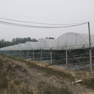 精品校長(zhǎng)服（四）